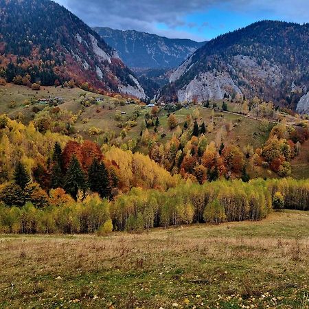 Mosorel Măgura Eksteriør bilde